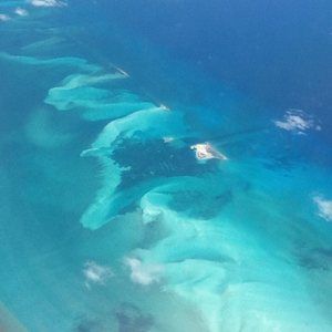 Meet your Posher, Reggie